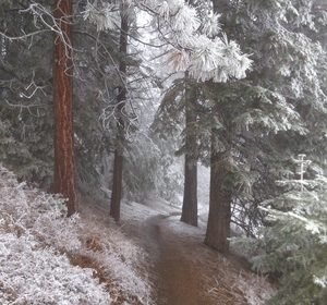 ee3287e9e2a19ed96a2e940c2d93ac80