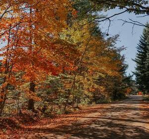 fadeed653da08b9c252d4f7e745fa331