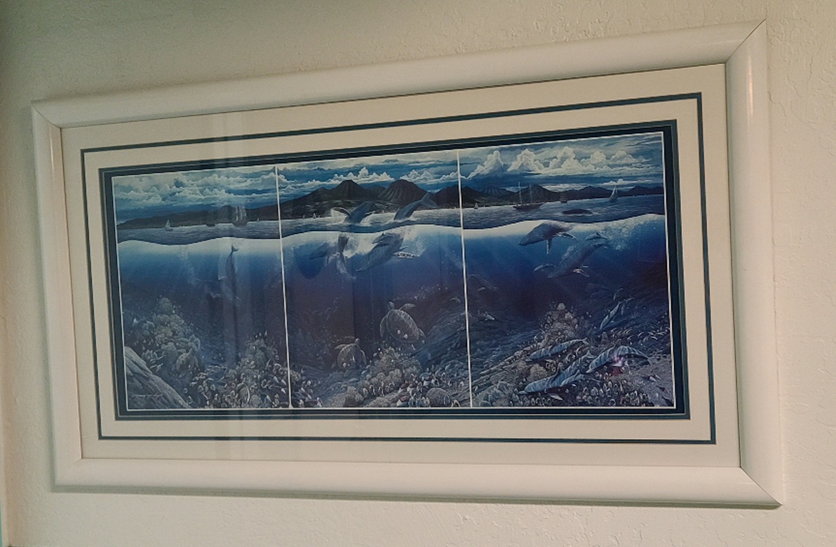 26×43 inch Framed picture