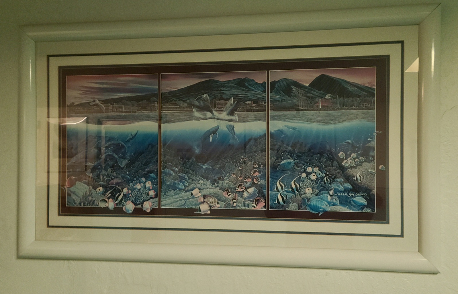 26×43 inch Framed picture