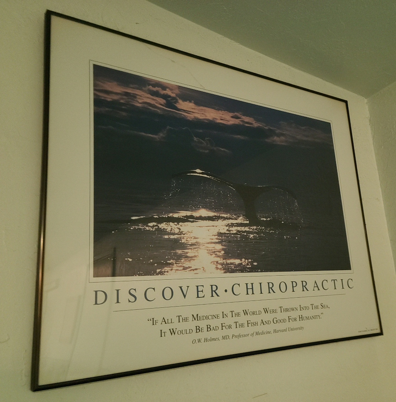 30×24 inch Framed picture