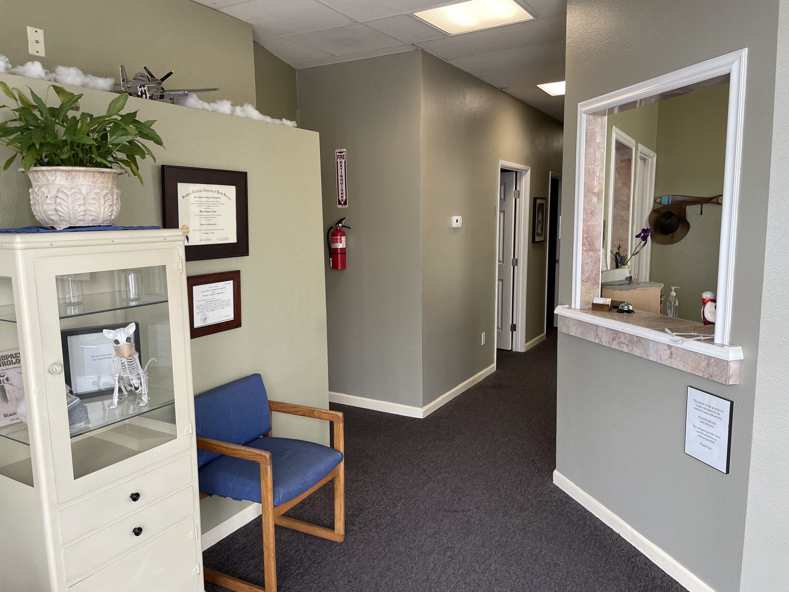 Established Chiropractic Practice