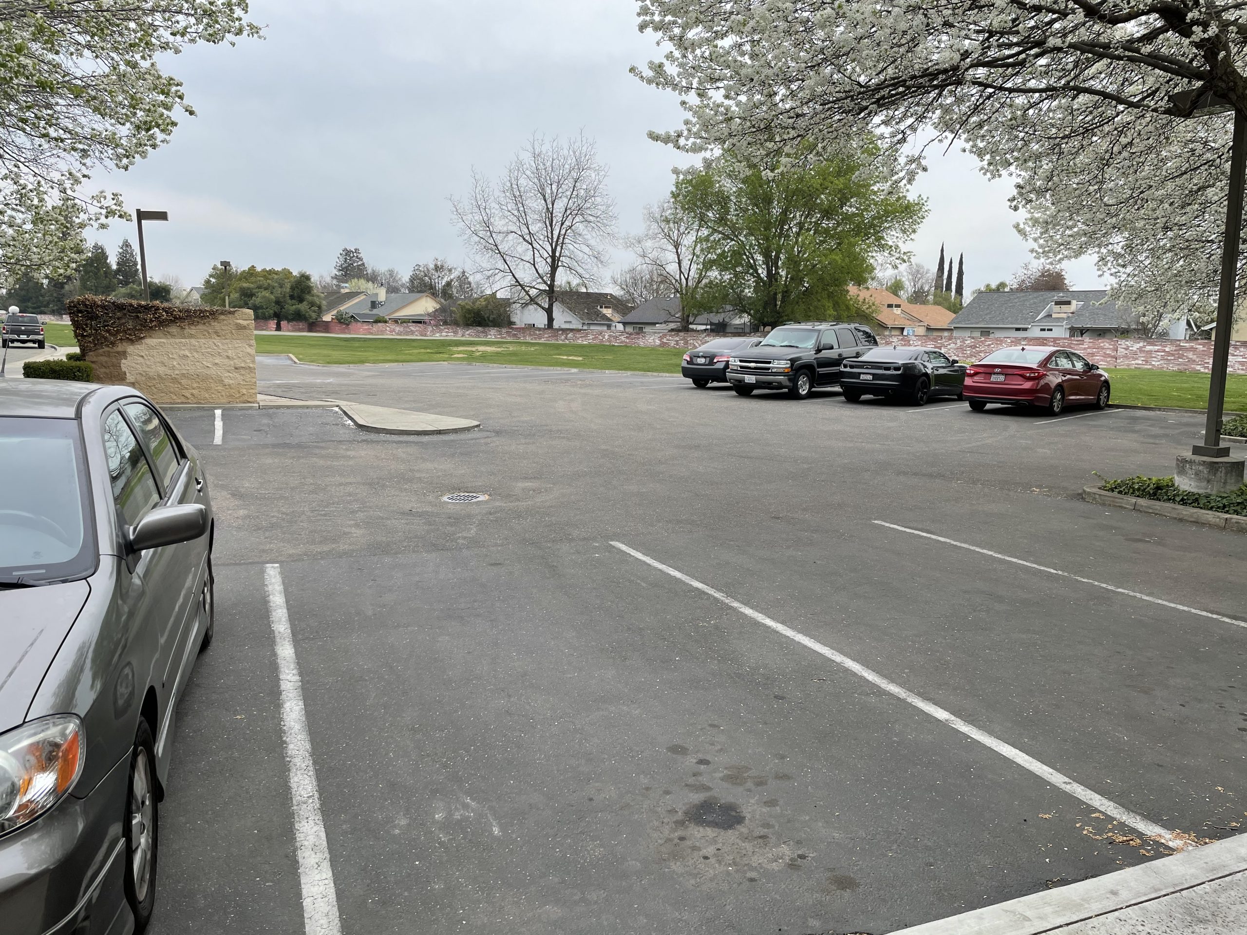 Established Chiropractic Practice