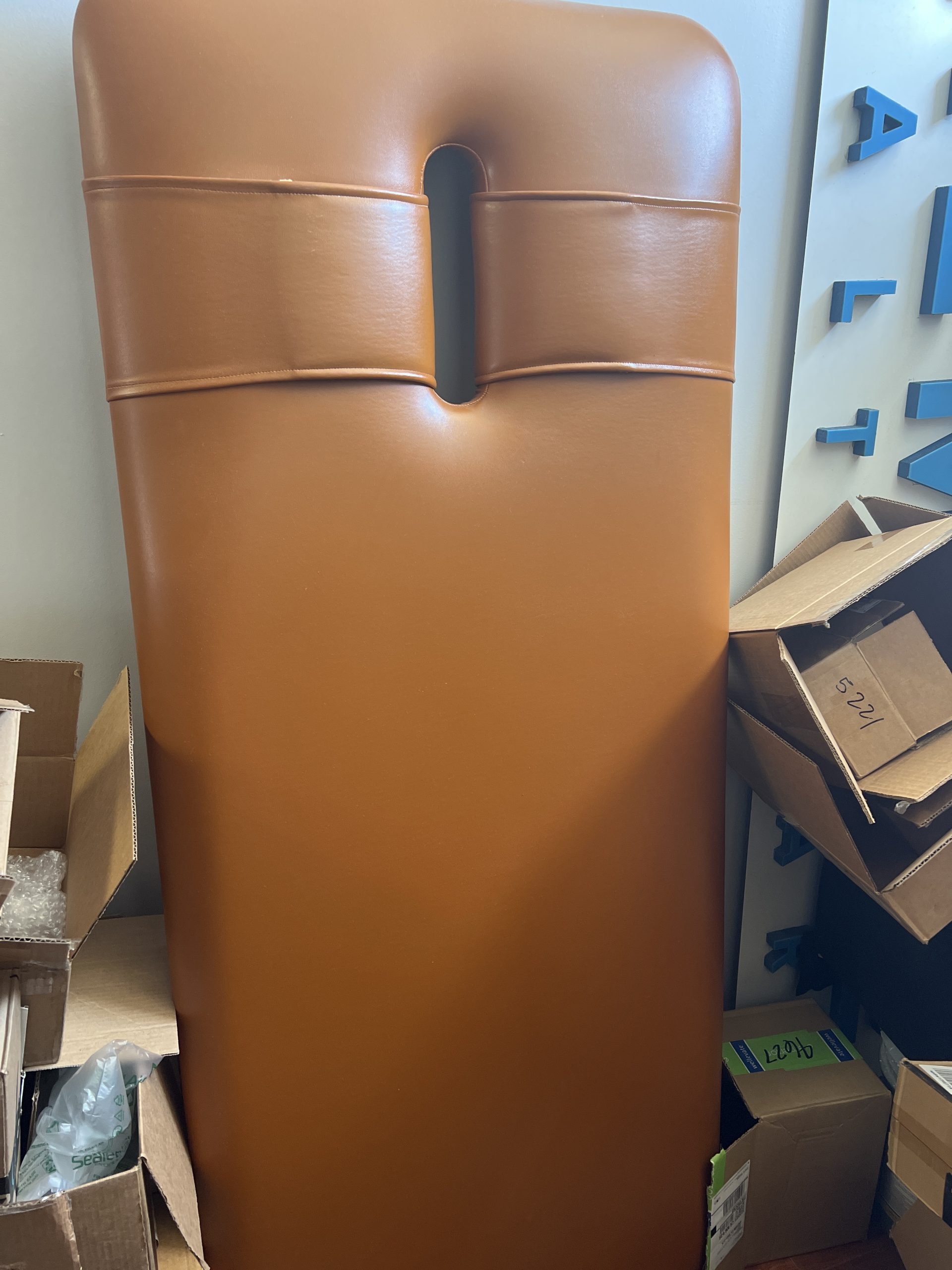 Examine/PT/therapy table