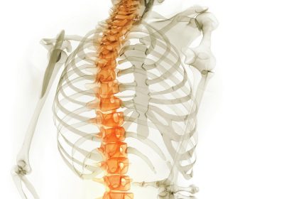 Orange-Spine