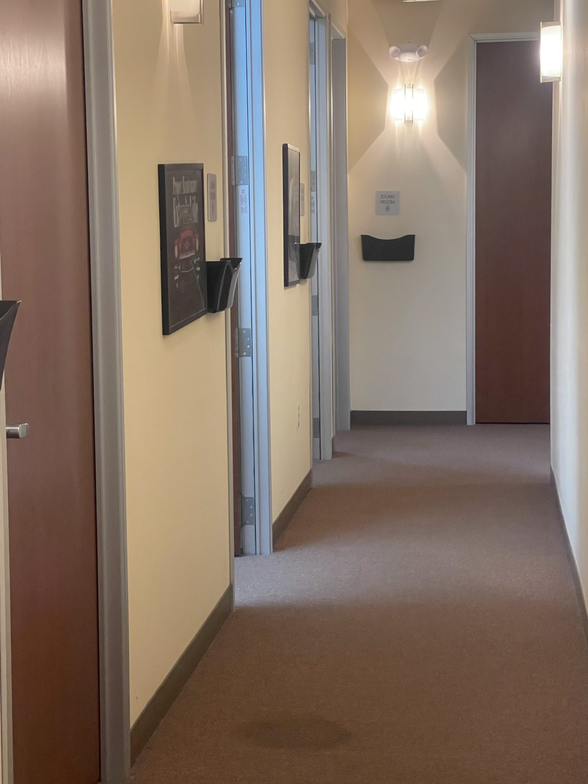 Chiropractor SF Peninsula