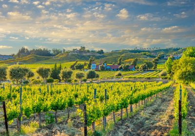 temecula-valley-CA-1