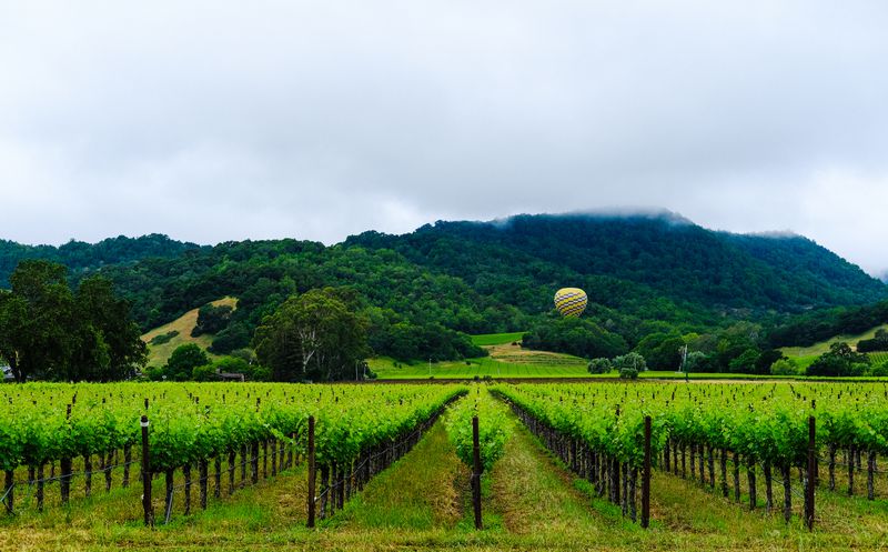 SANTA ROSA CA PRACTICE FOR SALE