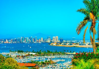 Santee-CA_San-Diego-County.Chiropractic-Practice-for-Sale