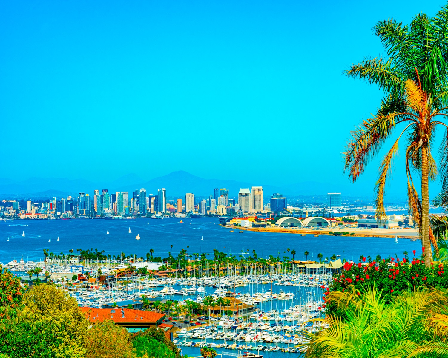 Chiropractic Practice for Sale