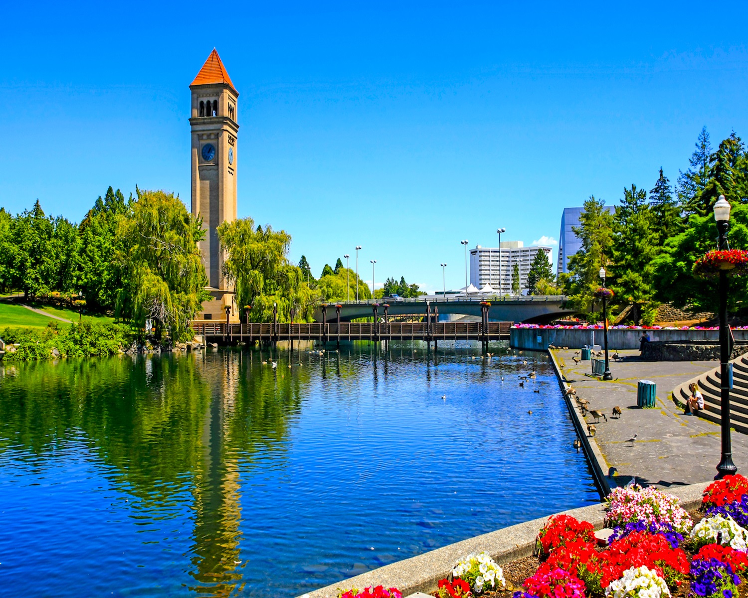 Chiropractic Practice for Sale