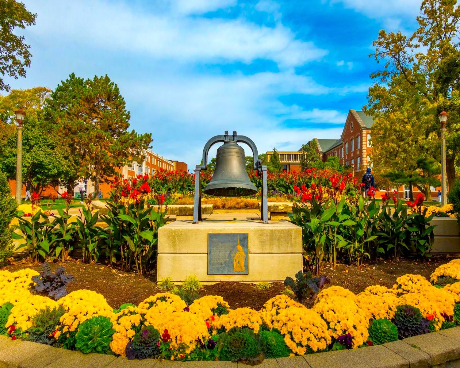 Chiropractic Practice for Sale