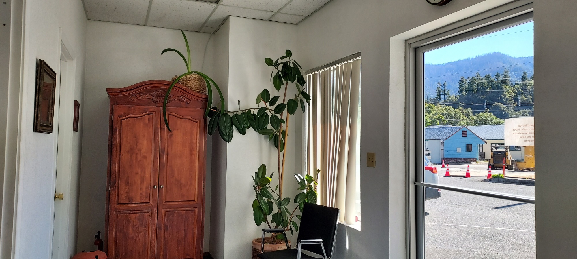 Chiropractic Practice for Sale