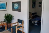Chiropractic Practice for Sale