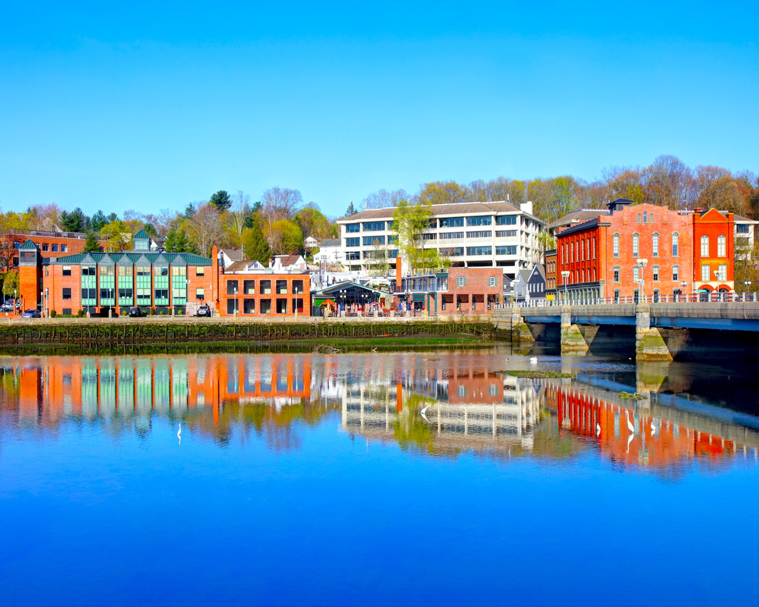 Chiropractic Practice for Sale