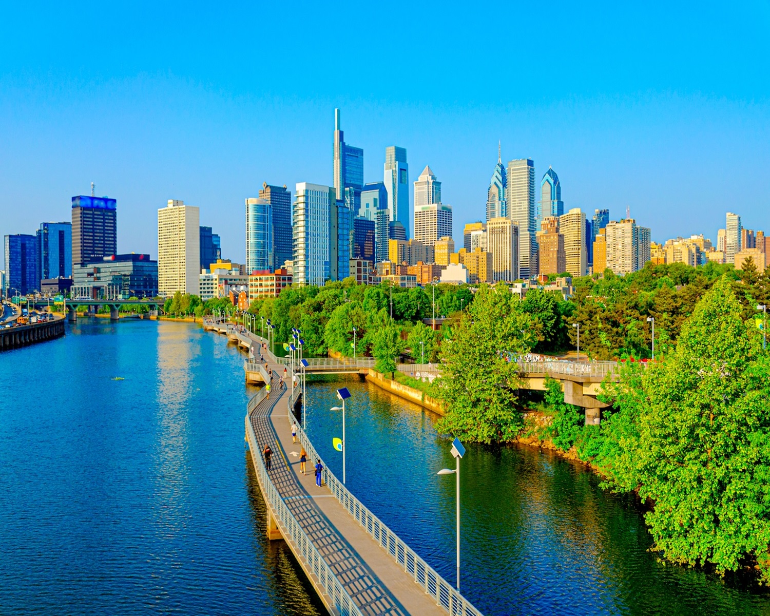 Chiropractic Practice for Sale