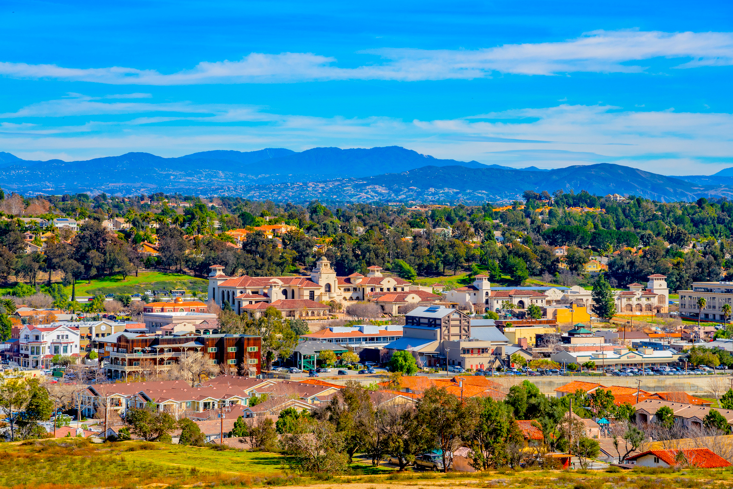 Chiropractic Practice for Sale