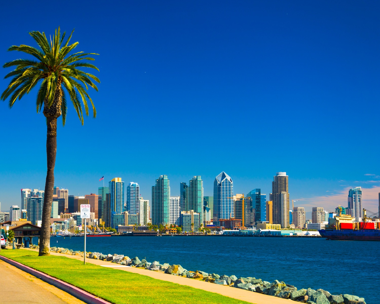 Chiropractic Practice for Sale