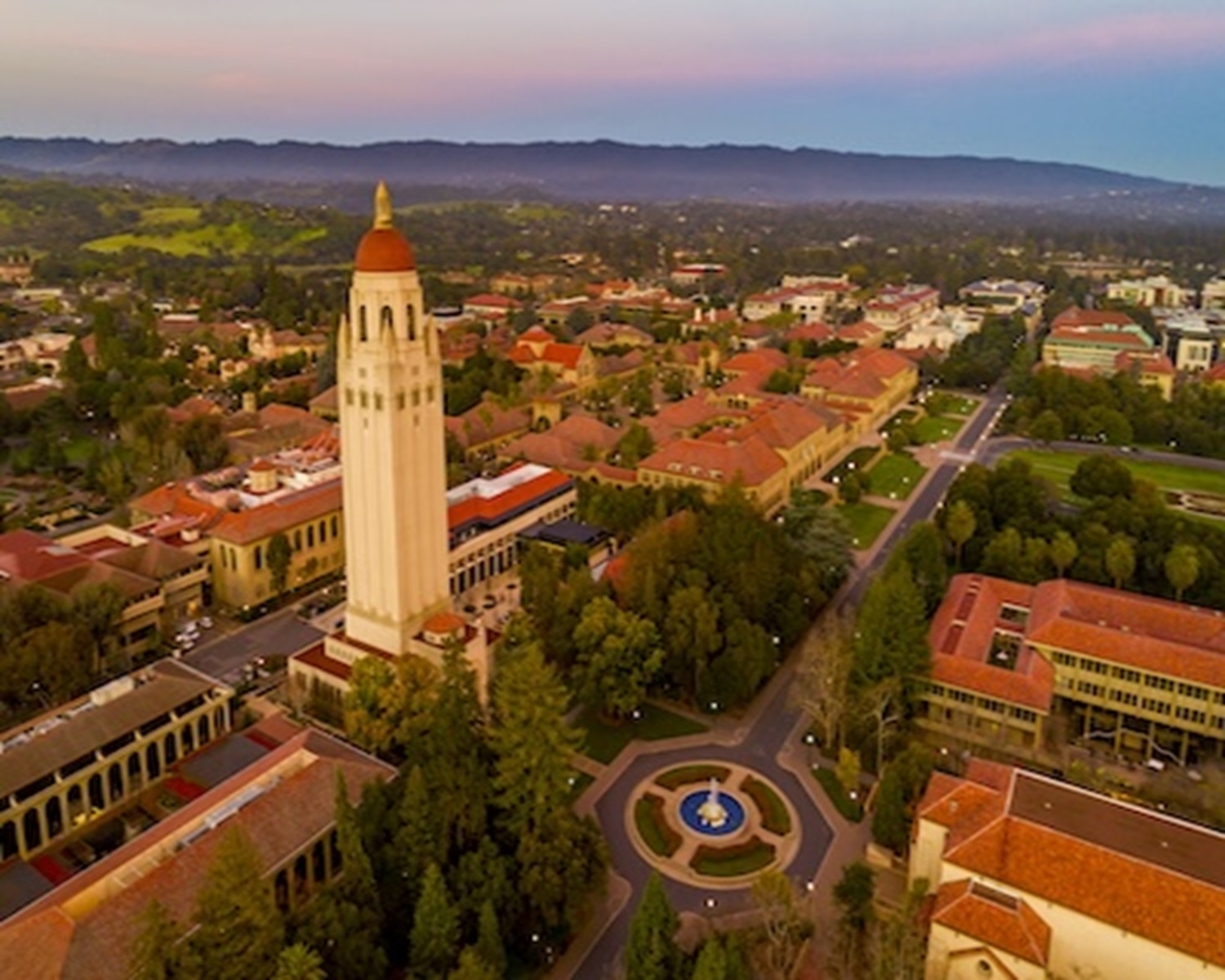 Chiropractic Practice for Sale