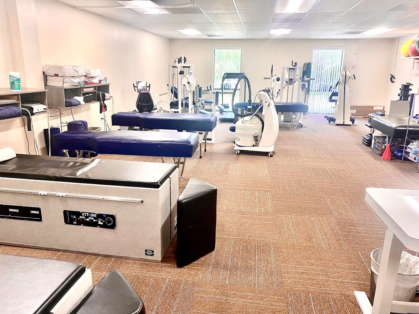 Profitable Crofton Chiro Practice