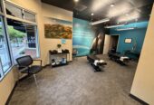 Profitable Chiro Clinic Danville CA
