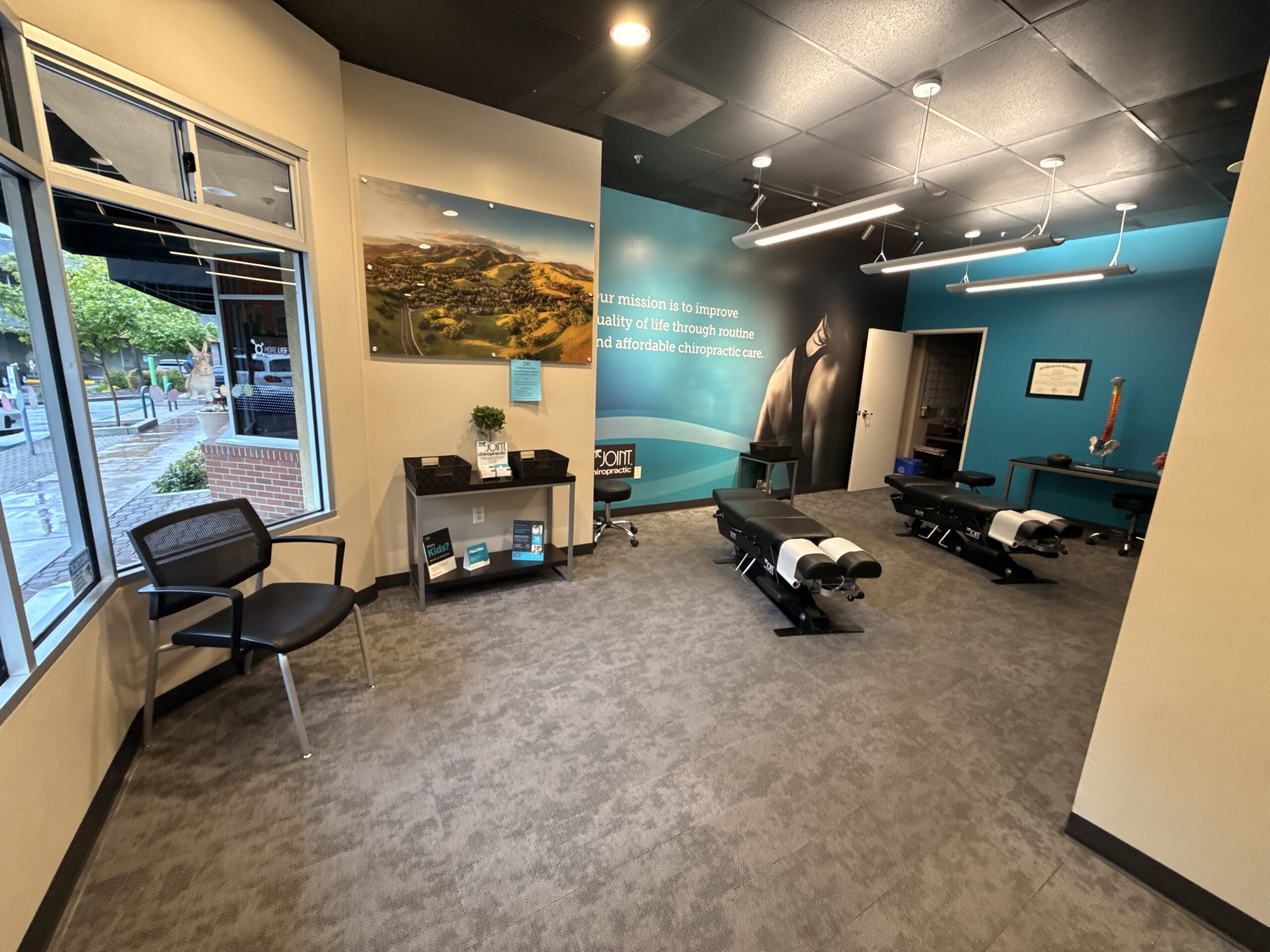 Profitable Chiro Clinic Danville CA
