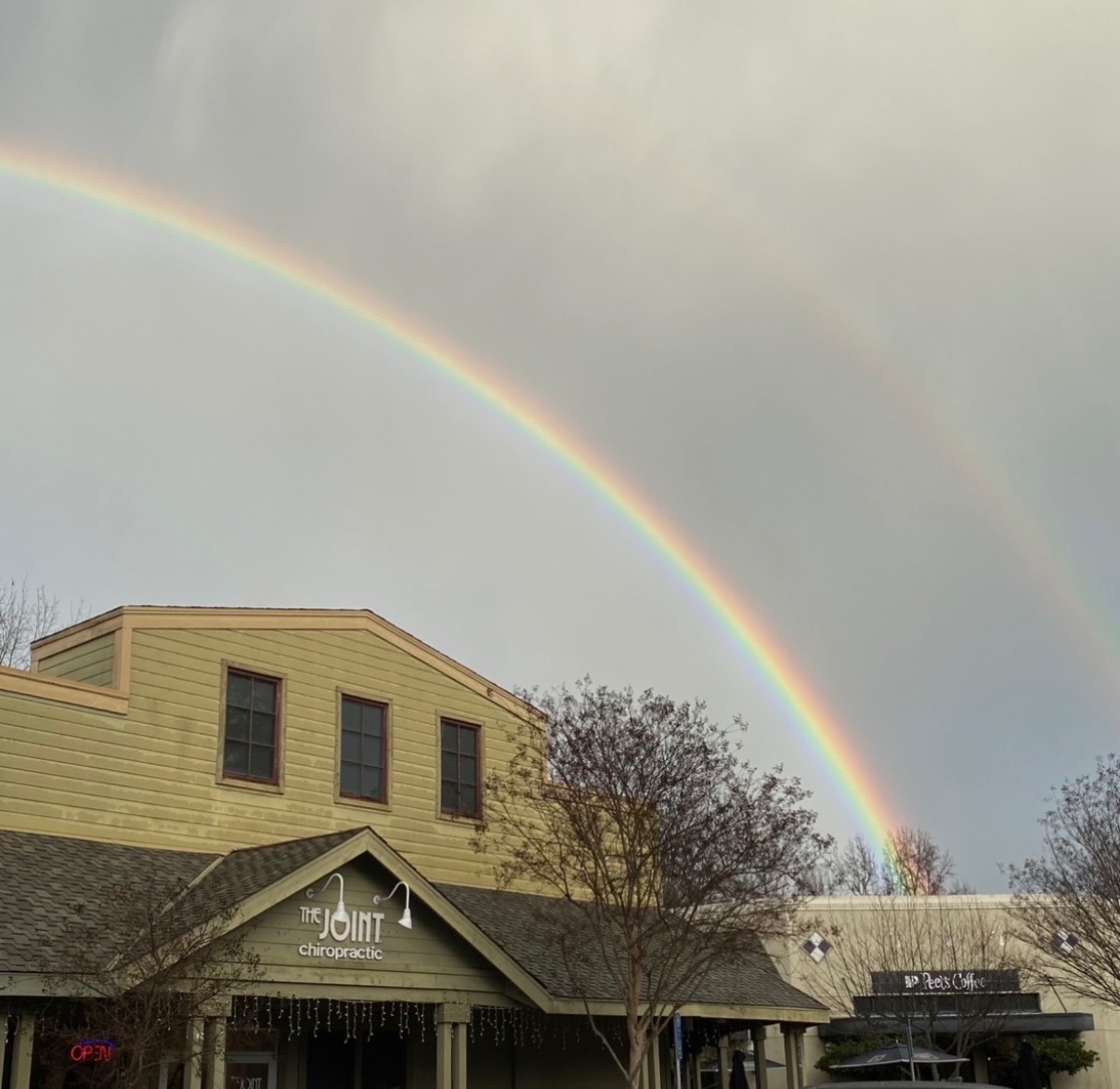 Profitable Chiro Clinic Danville CA