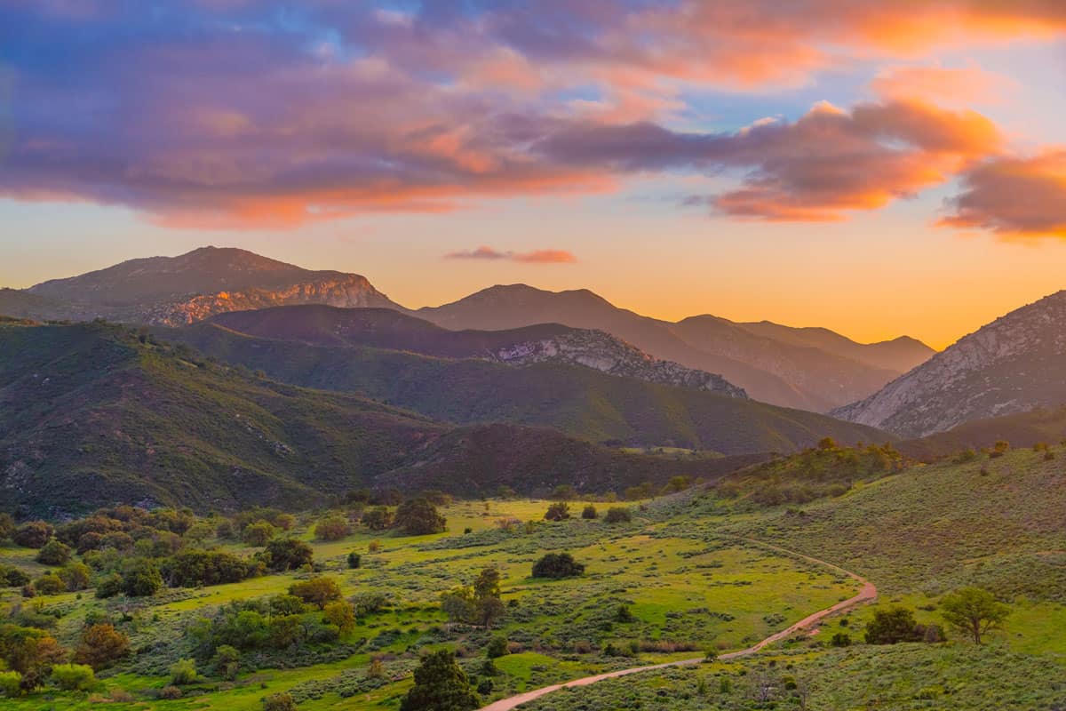 Northern San Diego County CA Chiropractic Practice for Sale
