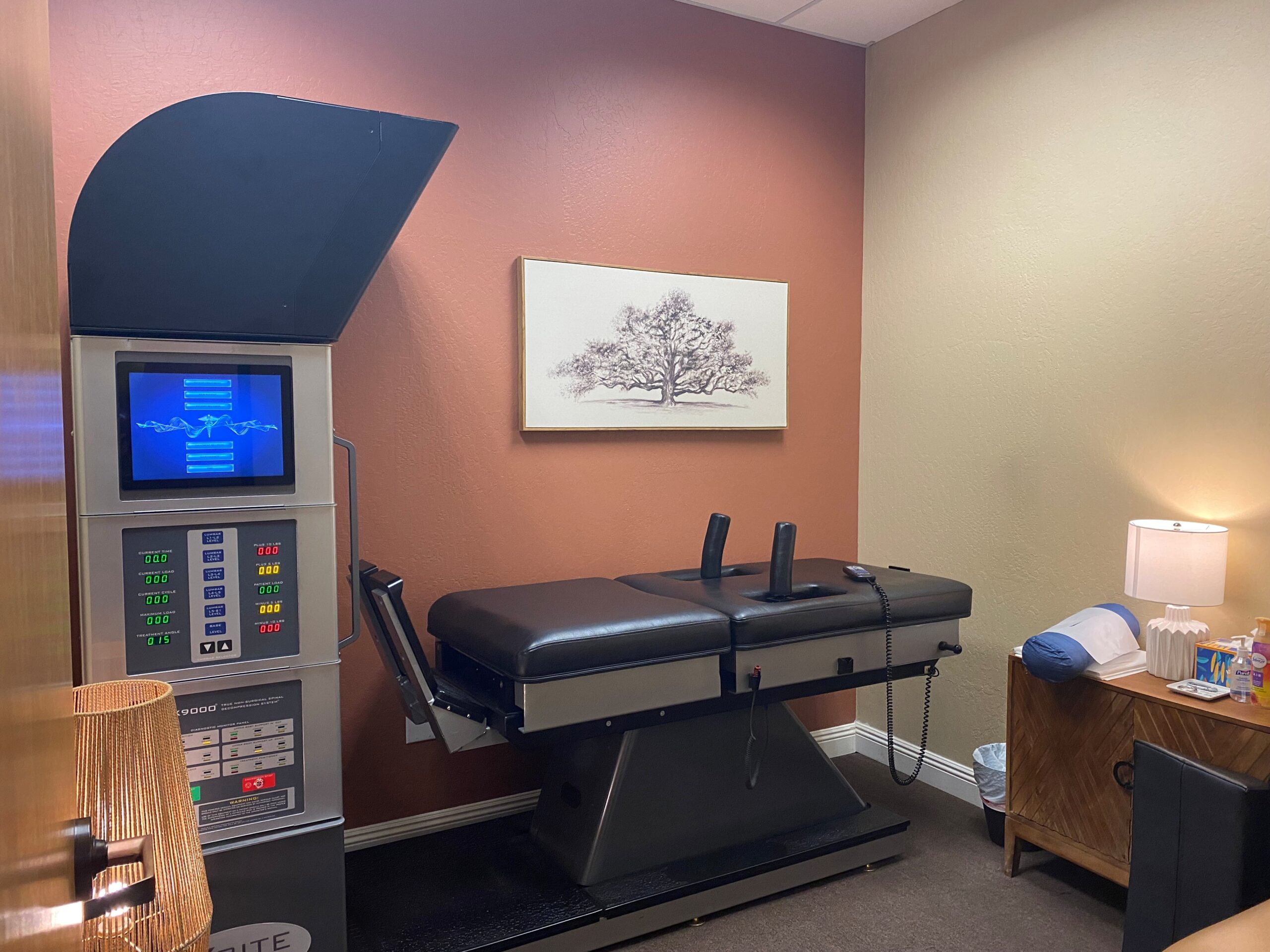 SAN JOSE AREA CA CHIROPRACTIC PRACTICE